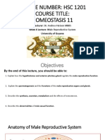 Course Number: HSC 1201 Course Title: Homeostasis 11