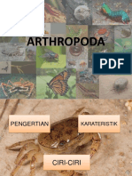 Biomedik Arthropoda