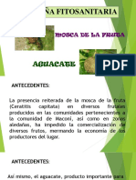 Campaña fitosanitaria contra la mosca de la fruta y plagas del aguacate