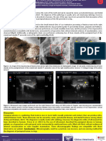 Ultrasound Real-time Imaging in the Diagnosis of a Periapical Abscess in a Dog- Case Report