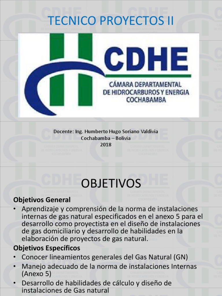 Proyectos de Gas Natural en Bolivia | PDF