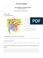 Ficha de avaliação 6ªano_CN_sistemacirculatório_sistemaurinário.pdf