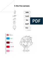 Match The Five Senses