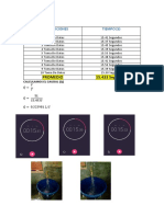 CAUDAL-1