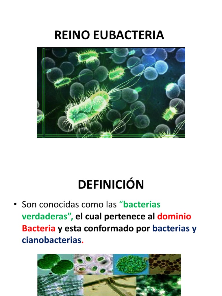 Reino Eubacteria y Arqueobacteria PDF