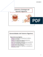 Sistema Digestivo