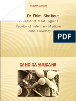 Prof.Dr. Fhim Shaltout - Candida Albicans Infection