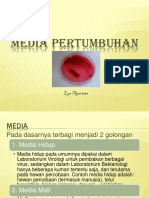 Media Pertumbuhan