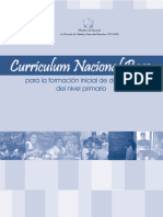 CNB_de_Formacion_Docente[1].pdf