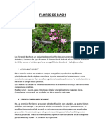 Flores de Bach.pdf