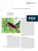 cucaracha.pdf