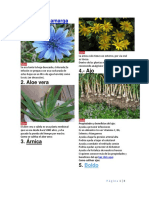 30 Plantas Medicinales Con Imagen