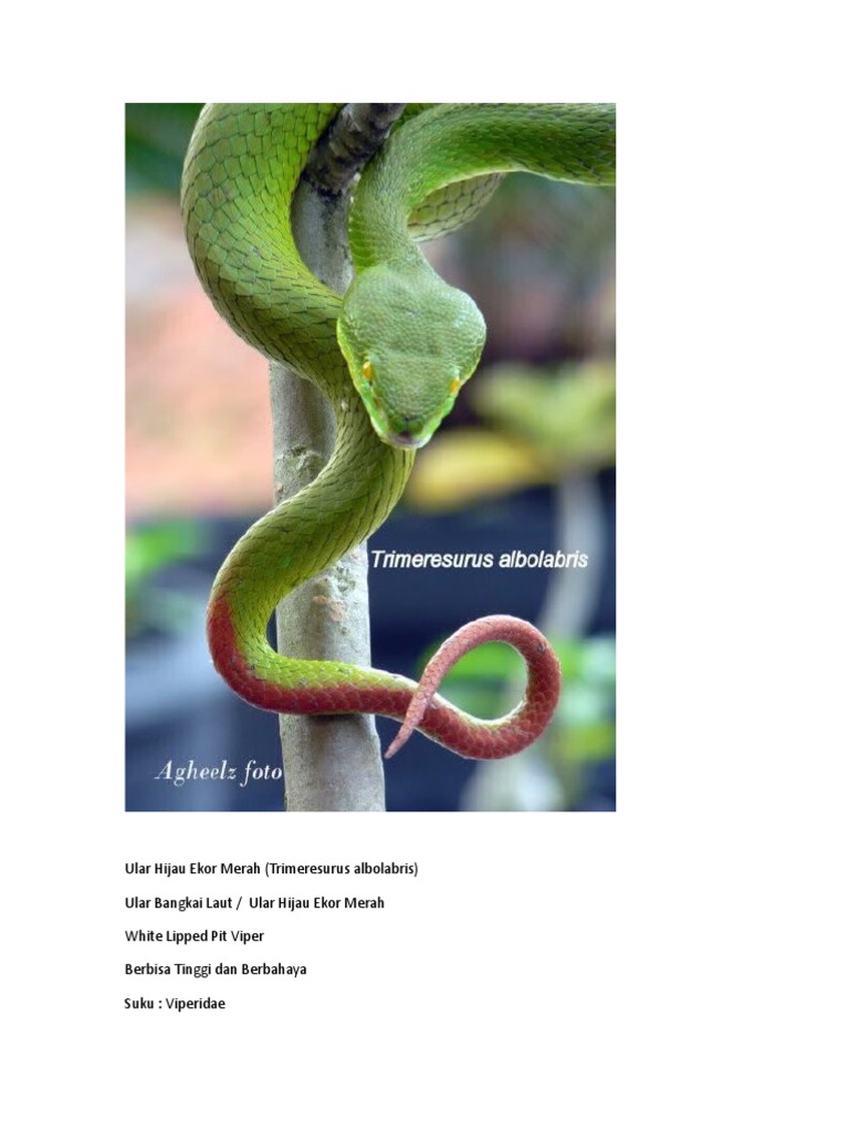 Ular ajoyib tarzda tugatishadi