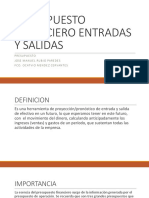 Presupuesto Financiero Entradas y Salida