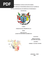 PRATICA Lavado de Instrumentos Quirurgico