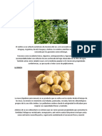 328882922-PLANTAS-MEDICINALES-docx.docx