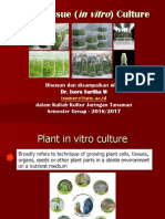 Plant Tissue Culture: in Vitro