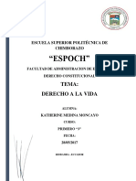 Ensayo Derecho A La Vida