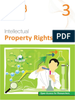 IP Rights PDF