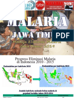 Jawa Timur Menuju Eliminasi Malaria