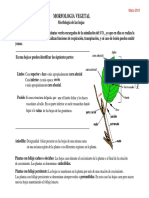 las-hojas (estudiar).pdf