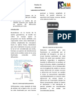 D_P10_difraccion.pdf