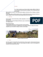 REPORTE PRACTICA.docx