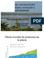 Presentacion-ICA-50-anos-Nicolas-del-Castillo.pdf