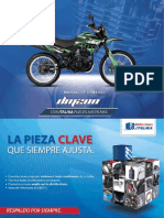 Motocicleta DM200 Ficha Técnica