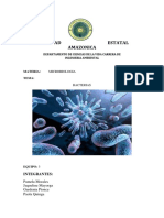 Bacterias Genralidades Estructura y Morfologia