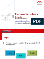 Programaciòn Lineal Entera y Binaria