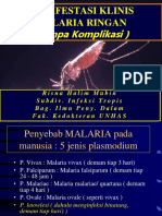 Manifestasi Malaria
