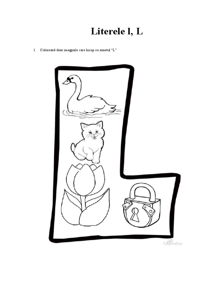 Fisa Litera L | PDF