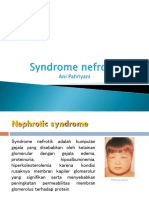 Lect 6-Sindrome Nefrotik