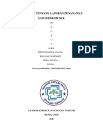 MAKALAH TENTANG LAPORAN PENANAMAN SAWI HIDROPONIK.docx