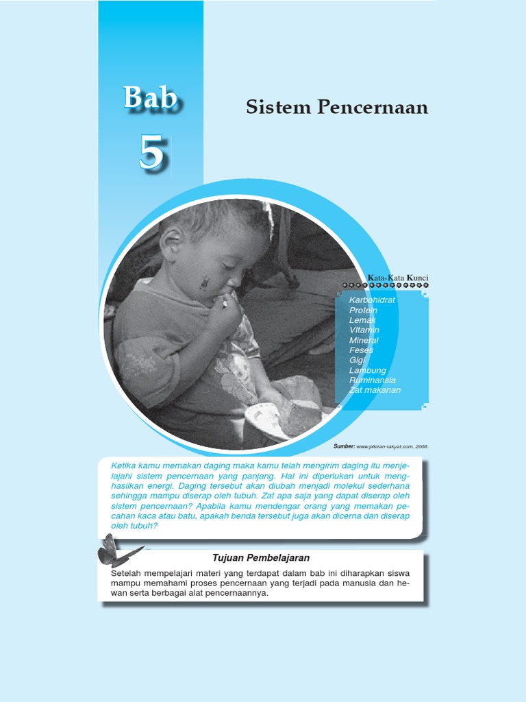 Jelaskan Perbedaan Antara Sistem Pencernaan Manusia Dengan Hewan