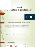 Seed Formation: Pollination to Fertilization to Development