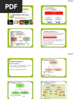 metabolismo microbiano