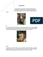 TIPOS DE MONOS.docx