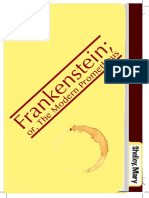 Frankenstein (Comp3)