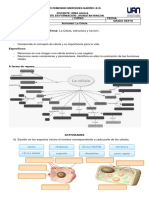 Activida Celula