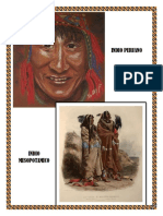 Indio Peruano e Mesoptamico