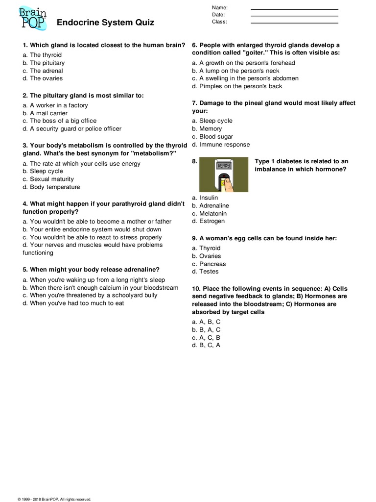 Pdf Exponents Brainpop Quizlet Exponents Pdf Pdfprof Com