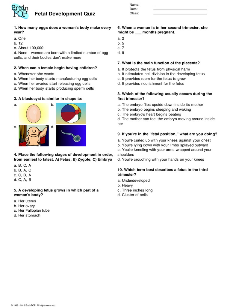 Genetics Growth And Development Quiz Pdf Fetus Embryo