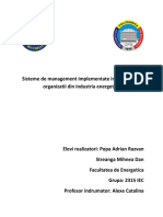 Sisteme de Management Implementate in Cadrul Unei Organizatii Din Industria Energetica