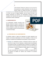 Carbohidratos: funciones, clasificación y relación con la salud