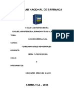 Licor de Maracuya Informe