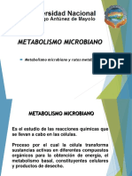 Clase 3 - Metabolismo Microbiano