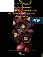 guia-de-campo_plantas-silvestres-comestibles-y-medicinales-de-chile-y-otras-partes-del-mundo.pdf