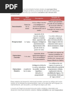 estadios - piaget.docx